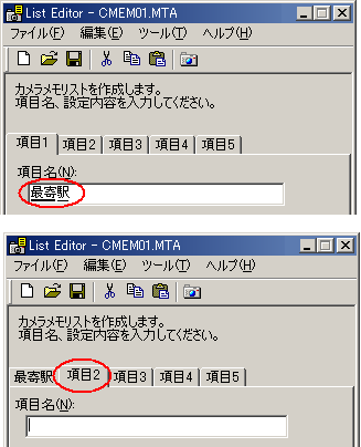 [項目名] ボックスに分類項目名を入力します