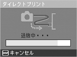 [MENU/OK] ボタンを押します