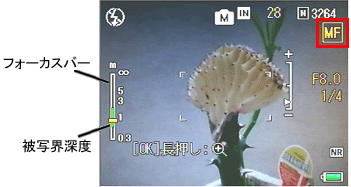 画面に［ MF ］が表示されます