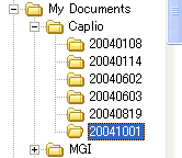 この日付フォルダは、カメラとパソコンを接続し、RICOH Gate La でカメラ内の画像を取り込んだ際に初期値で取り込まれるフォルダです