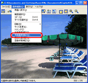 編集する画像を表示し、[画像編集] → [手動画像補正] をクリックします