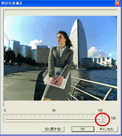 スライダーを左右にドラッグし、画像の周辺部の光量 (明るさ) を調整します