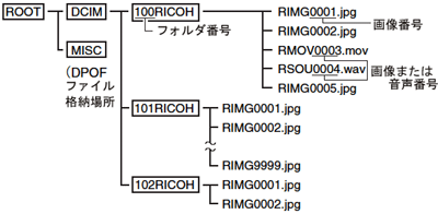 カードのディレクトリ構造