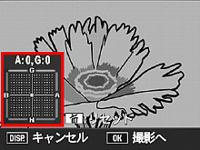 画面左下にホワイトバランス補正マップが表示されます