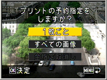 [ ▼ ][ ▲ ]ボタンを押して、プリント設定を選び、[ OK ] ボタンを押します