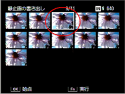 始点になるコマは白い枠で表示されます