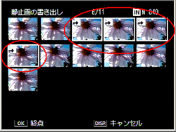 選択されたコマは矢印のマークが表示され、枠が白く表示されます