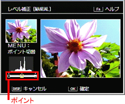 ADJ./OK ボタンを左右に押して、ポイントを移動するとレベル補正が行なえます