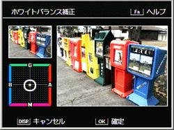 ADJ./OK ボタンを▲▼<>側に押して、ホワイトバランス補正マップのポイント(下図左下の白枠の中心部)の位置を調整し、色調を補正します