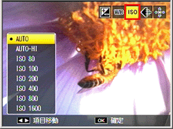 ISO 感度のメニューが表示されるまで、ADJ./OK ボタンを左右に押します