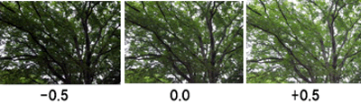 最初に合焦した位置をもとに、ピント位置を前に 2 箇所、後に 2 箇所ずらして 5 枚撮影します