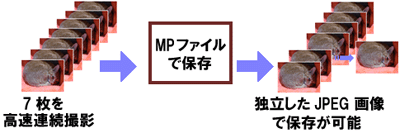 カメラが自動的に 7 箇所の合焦ポイントを決定し、それぞれのポイントにピントを移動しながら、7 枚の静止画を 1 組にして、MP ファイル*1として記録します