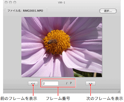 フレーム番号を入力するか、［＜＜］または［＞＞］をクリックして、再生したいコマを選択します