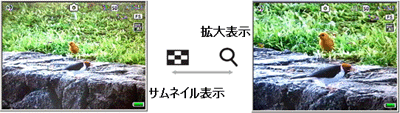 拡大表示ボタン（上）を押すと、範囲を狭めて被写体を大きく撮影できます（最大 4.0 倍まで。サムネイル表示（下）ボタンを押すと被写体を小さくして広い範囲を撮影できます