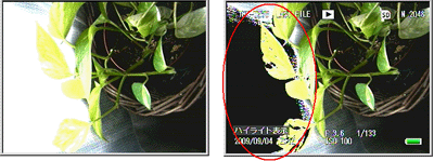 このようにハイライト部分が黒く点滅して表示されます