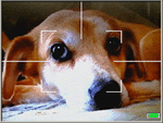 縦横に2 分割したものをベースに、中心はグリッド線を省いて被写体を捉えやすくしています