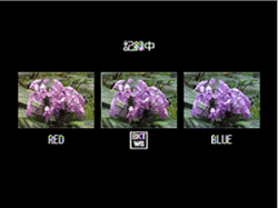設定されているホワイトバランス値を基準に、赤みがかった画像、現在の設定値の画像、青みがかった画像で 3 枚記録されます