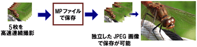 カメラが自動的に 5 箇所の合焦ポイントを決定し、それぞれのポイントにピントを移動しながら、5 枚の画像を高速で連続撮影します