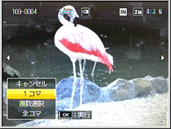 ADJ./OK ボタンを上下に押し、［ 1 コマ ］を選びます
