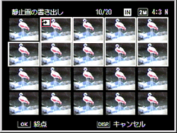 始点になるコマは白い枠で表示されます