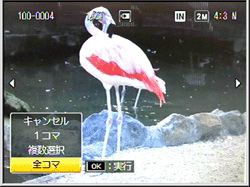 ADJ./OK ボタンを上下に押し [ 全コマ ] を選び、ADJ./OK ボタンを押します