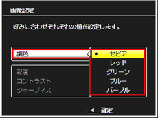 ［調色］を選択した場合