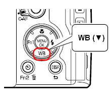 ホワイトバランスボタンを押します