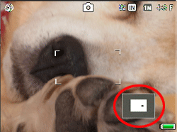 MENU/OK ボタンを押すと、全体のどの部分を拡大表示されているかが画像モニター左下で確認できます