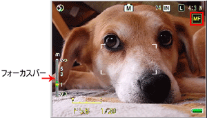 画面に［MF］とフォーカスバーが表示されます