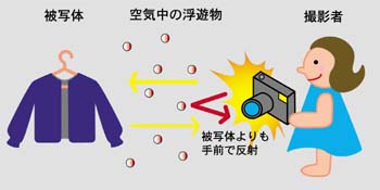 空気中の浮遊物がフラッシュに反射