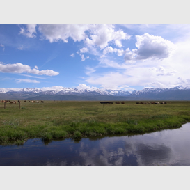 US395 Sierra-Nevada Highway