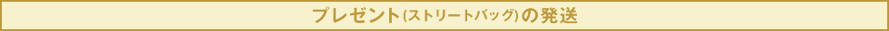 プレゼント(ストリートバッグ)の発送