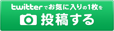 Twitterで お気に入りの1枚を投稿する