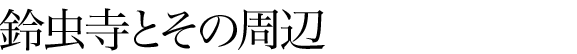 鈴虫寺とその周辺