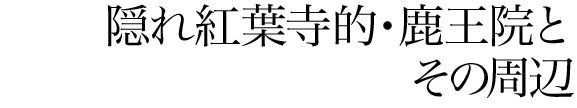 隠れ紅葉寺的・鹿王院とその周辺