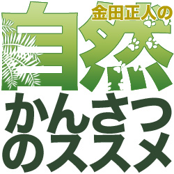 金田正人の自然かんさつのススメ