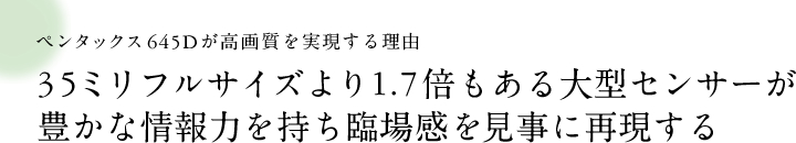 ペンタックス645Dが高画質を実現する理由 35ミリフルサイズより1.7倍もある大型センサーが豊かな情報力を持ち臨場感を見事に再現する