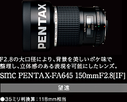 F2.8の大口径により、背景を美しいボケ味で整理し、立体感のある表現を可能にしたレンズ。smc PENTAX-FA645 150mmF2.8[IF]