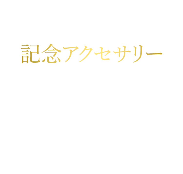 スマホ/家電/カメラPENTAX 100周年記念ホットシューカバー O-HC171 3000個限定