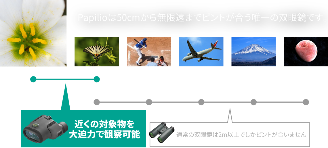 通常の双眼鏡は2m以上でしかピントが合いません