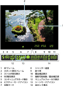 見やすいファインダー内表示