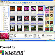 PENTAX PHOTO Browser3