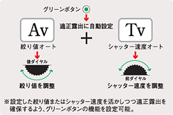 〈M：ハイパーマニュアル〉