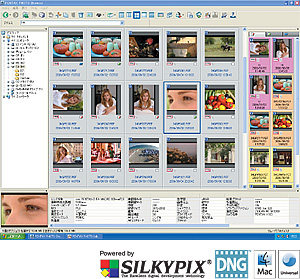 高機能な画像閲覧ソフト　PENTAX PHOTO Browser3 ＜バージョン3.10＞