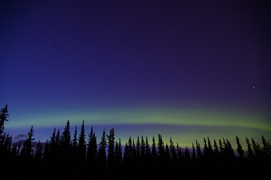 The Northern Lights