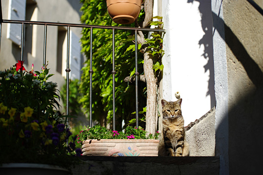 Lourmarin（ルールマラン）