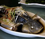 昼食の鯉