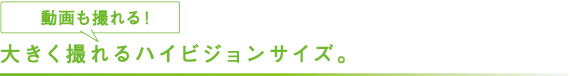 大きく撮れるハイビジョンサイズ。