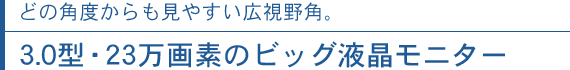 どの角度からも見やすい広視野角。3.0型・23万画素のビッグ液晶モニター