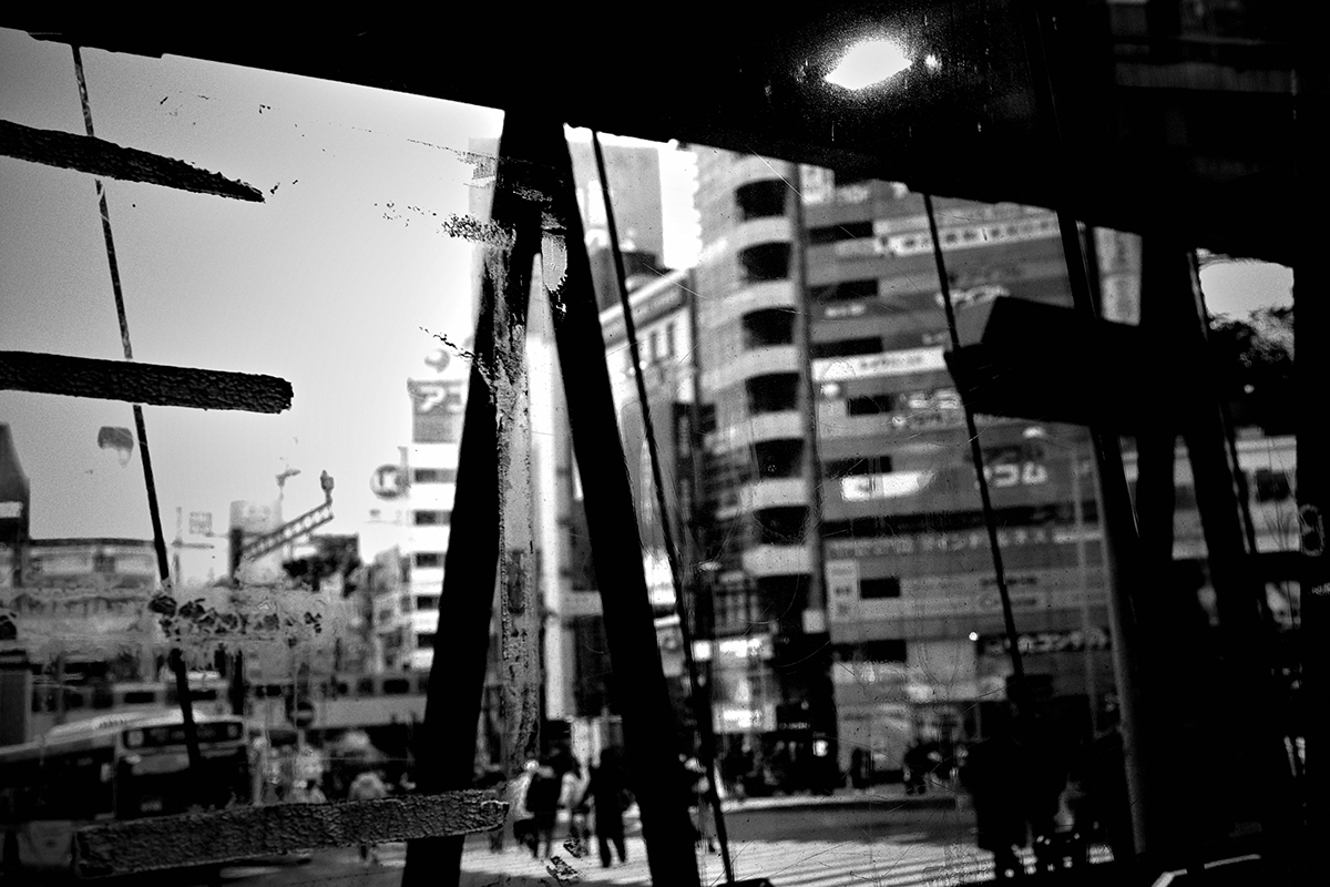 Photo by Tomas H. Hara